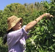 遠藤千恵さん