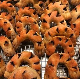 vol.17 出張料理人　岸本恵理子さん