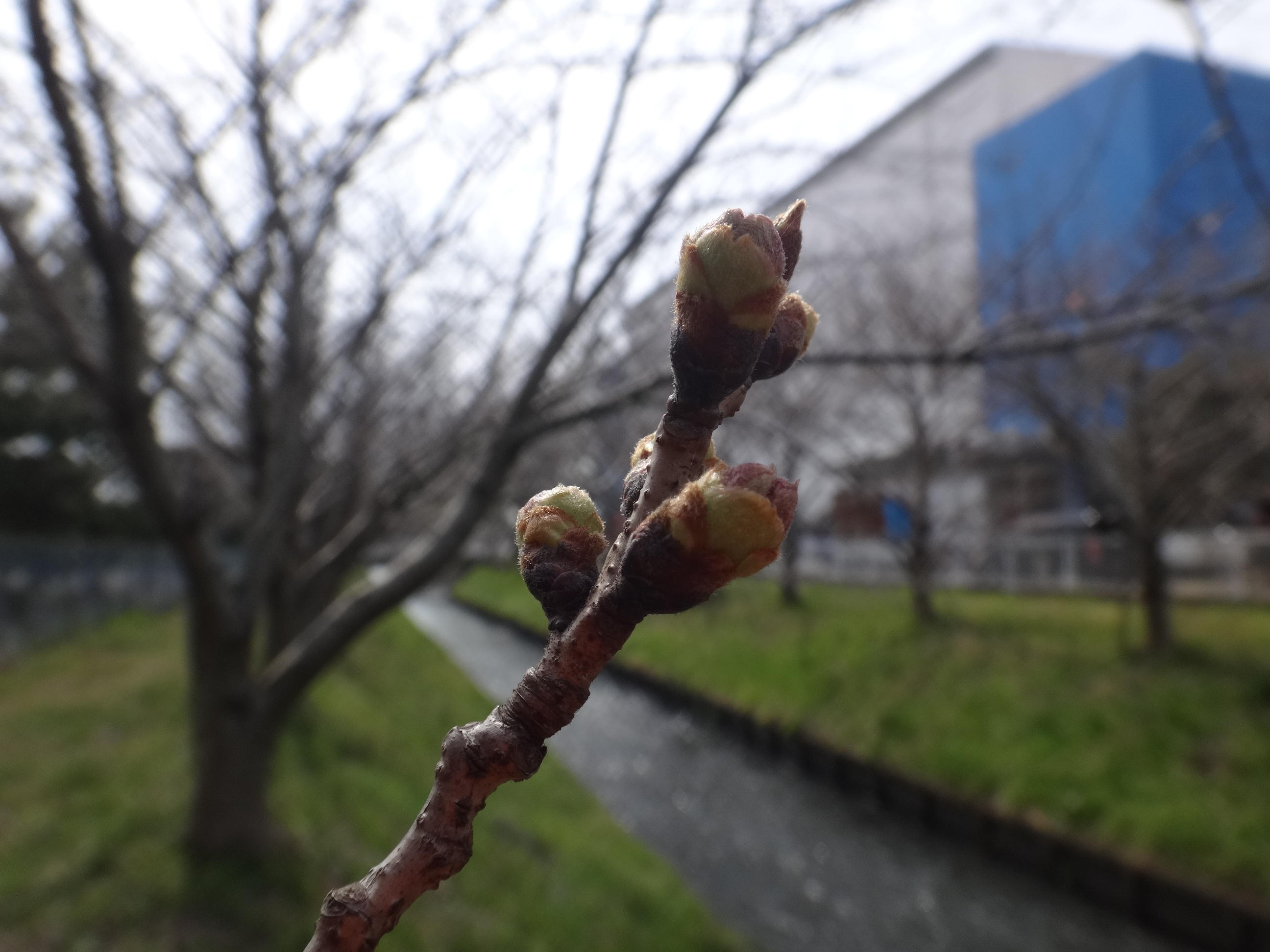 DSC01814.JPG